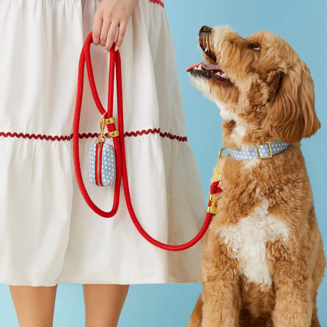 The Foggy Dog Liberty Collar