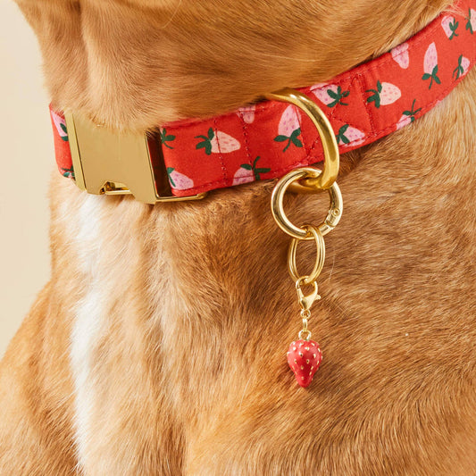 Strawberry Spring Collar Charm