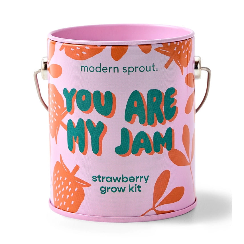 Strawberry Grow Kit