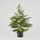 Afloral™ Artificial Norfolk Pine Tree