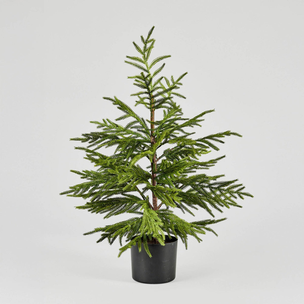 Afloral™ Artificial Norfolk Pine Tree