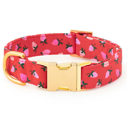 Berry Sweet Valentine's Day Dog Collar