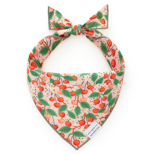 Cherry Blossom Spring Dog Bandana