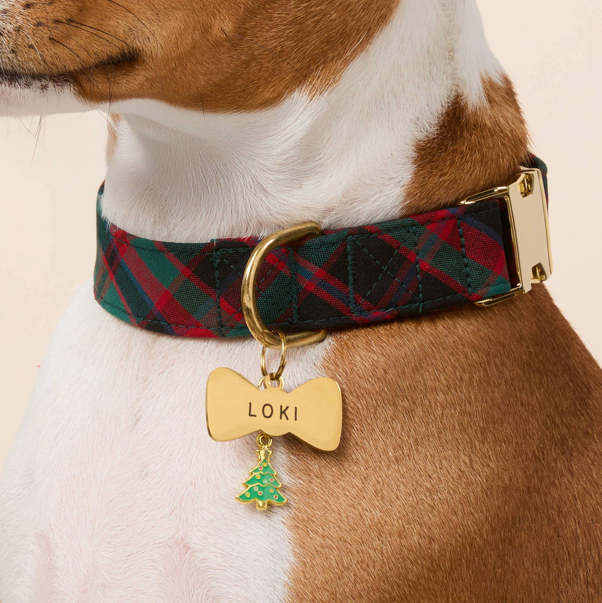 The Foggy Dog Highland Plaid Dog Collar