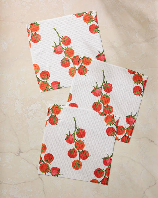 Geometry Ripe and Ready Dishcloth Set