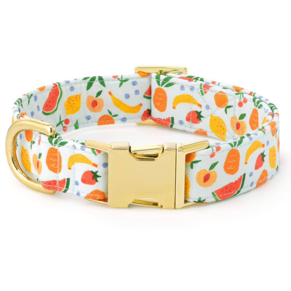 The Foggy Dog Fruit Salad Collar