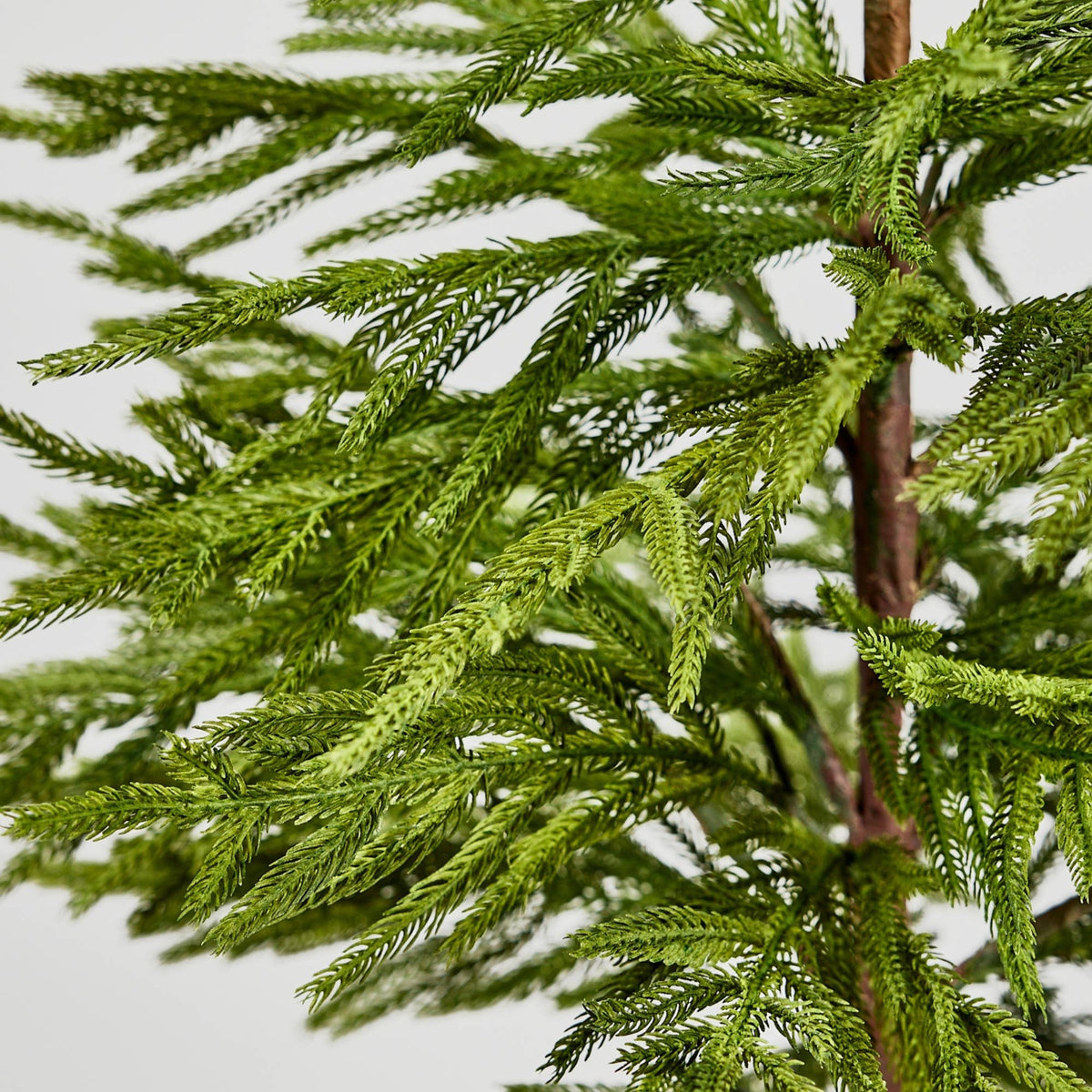 Afloral™ Artificial Norfolk Pine Tree