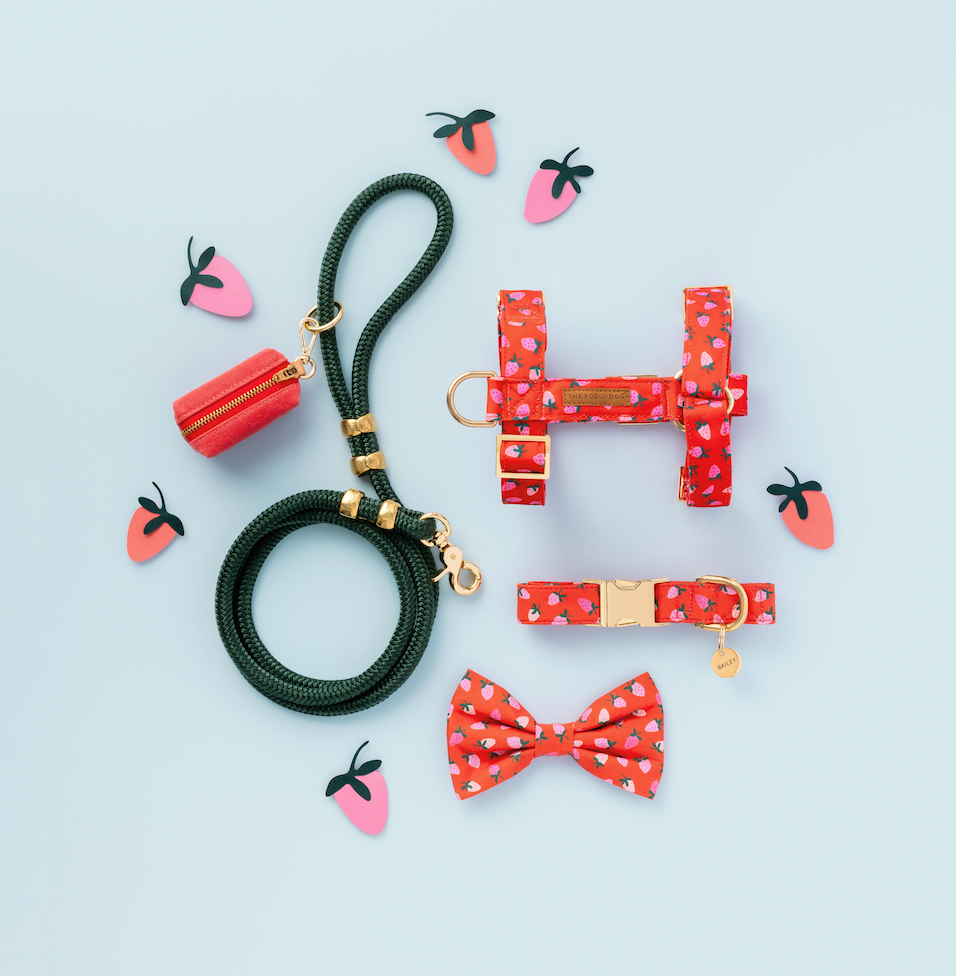 The Foggy Dog Berry Sweet Bag Dispenser