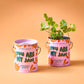 Strawberry Grow Kit