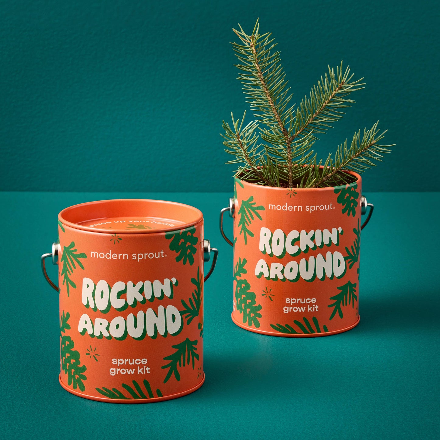 Holiday Spruce Grow Kit