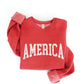 America Graphic Sweatshirt