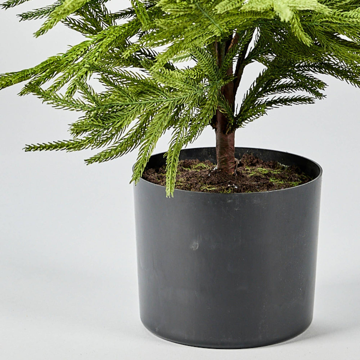 Afloral™ Artificial Norfolk Pine Tree