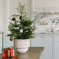 Afloral™ Artificial Norfolk Pine Tree