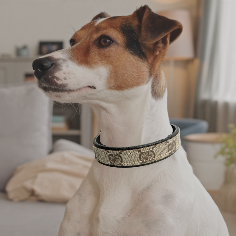 Posh Pet Collar | Upcycled Gucci & Leather