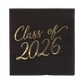 Foil Class of 2026 Napkin