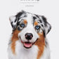 Good Dog