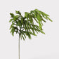 Afloral™ Real Touch Norfolk Pine Branch