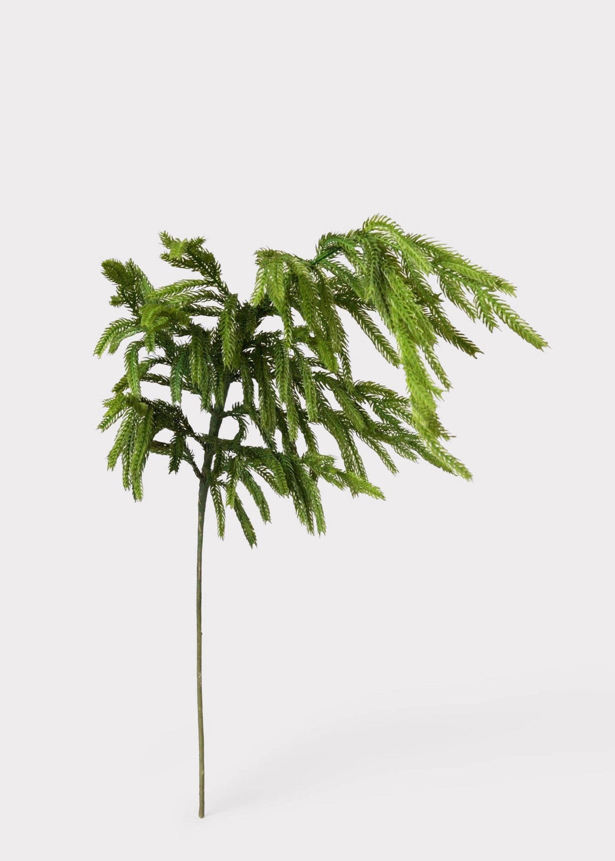 Afloral™ Real Touch Norfolk Pine Branch