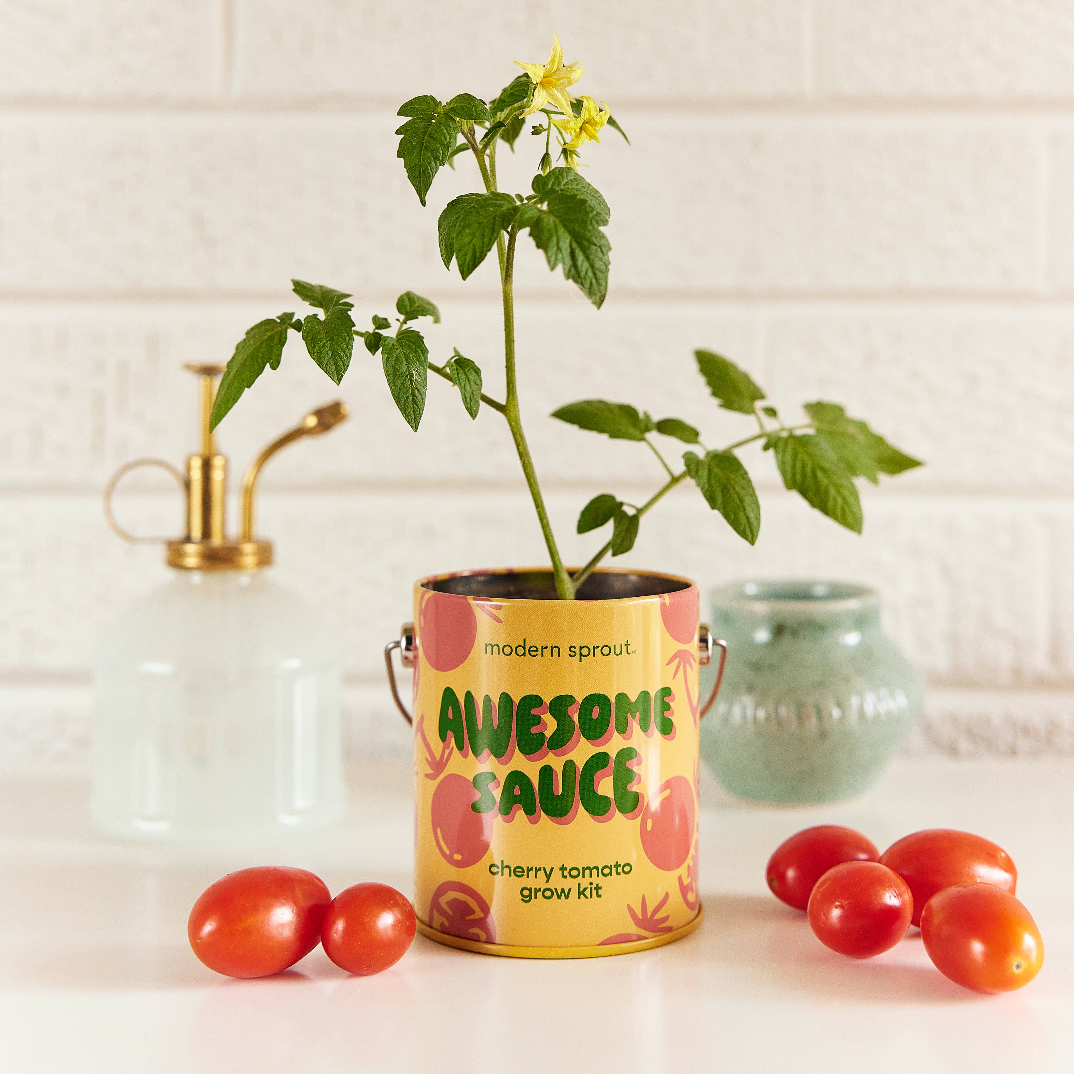 Cherry Tomato Grow Kit
