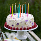 Rainbow Birthday Candles - 16 Pack