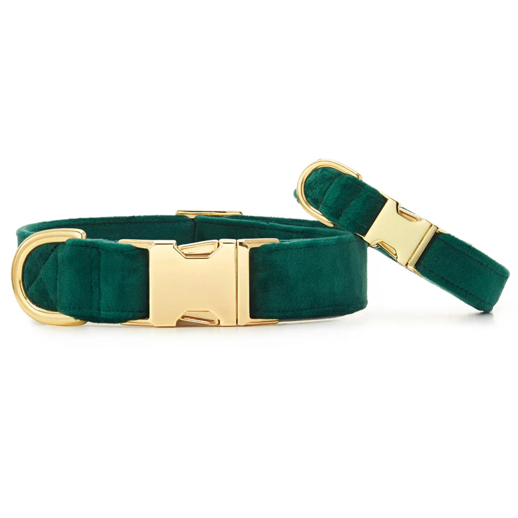 The Foggy Dog Evergreen Velvet Collar