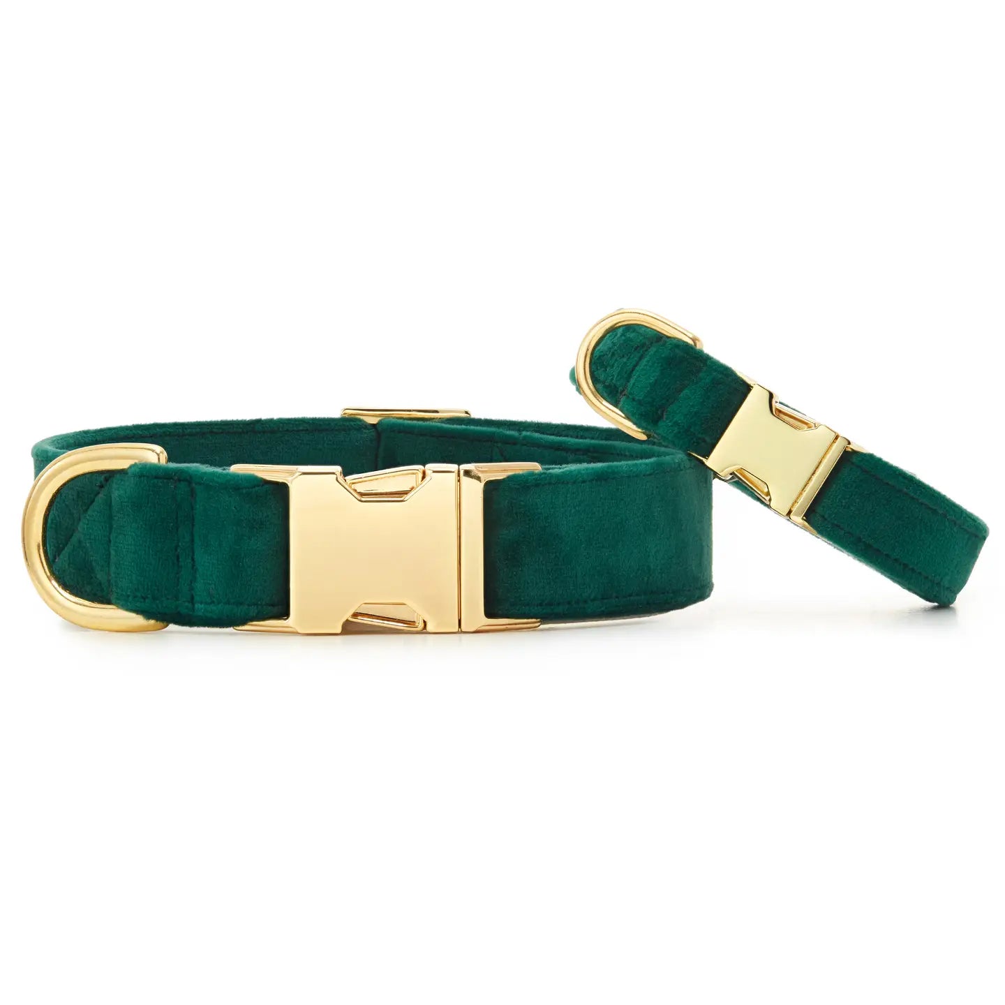 The Foggy Dog Evergreen Velvet Collar