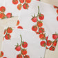 Geometry Ripe and Ready Dishcloth Set