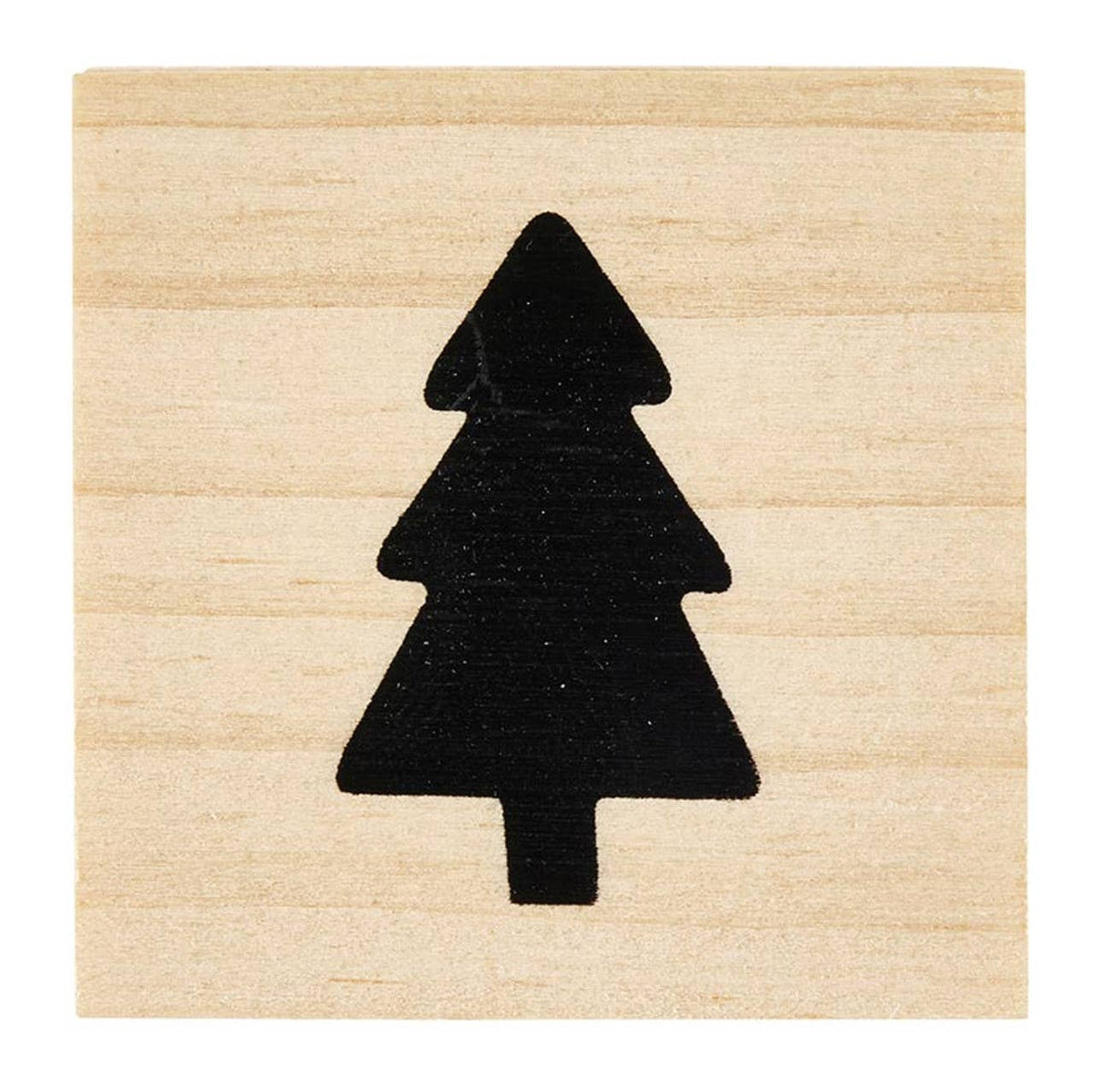 Gift Treasure Box Earrings