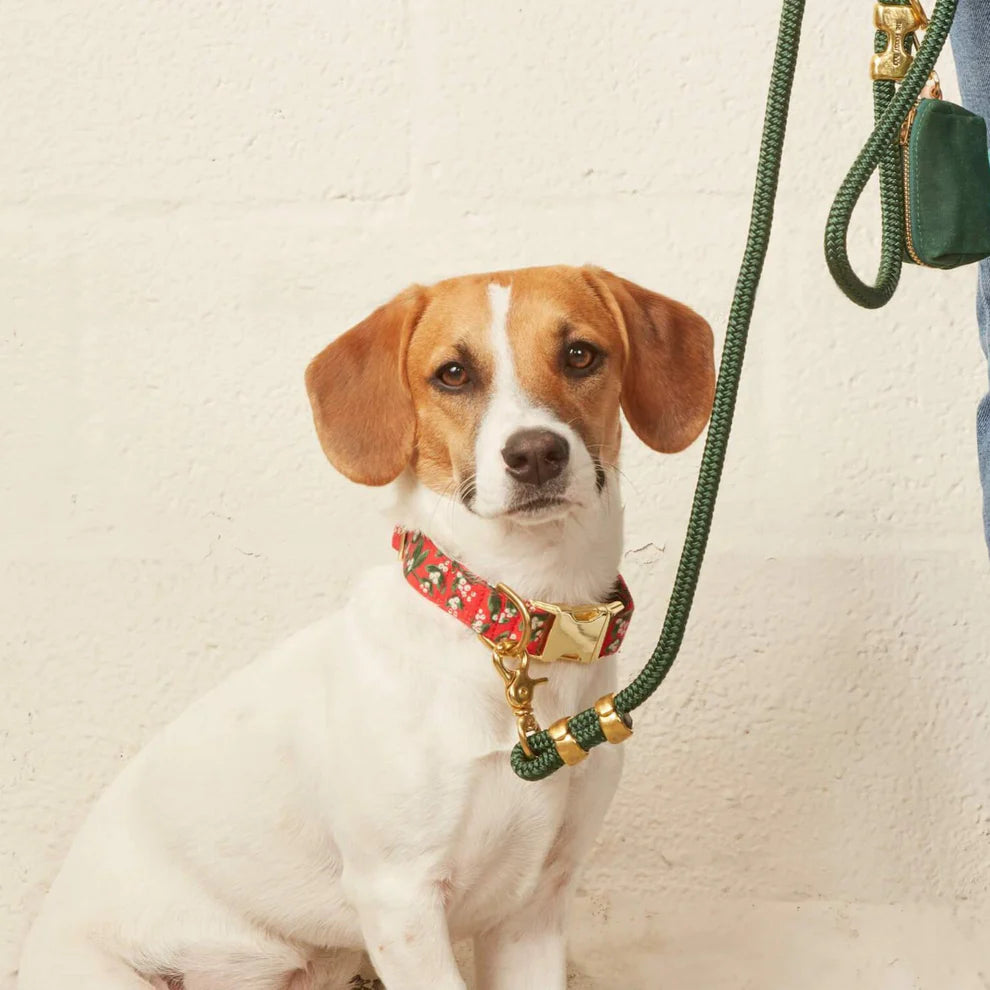 Rifle Paper Co. X The Foggy Dog Canvas Holiday Dog Collar